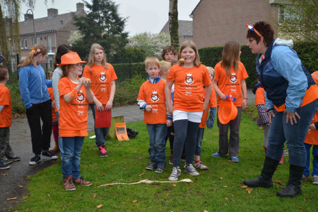 Koningsdag basisschool De Vlieger 2013
