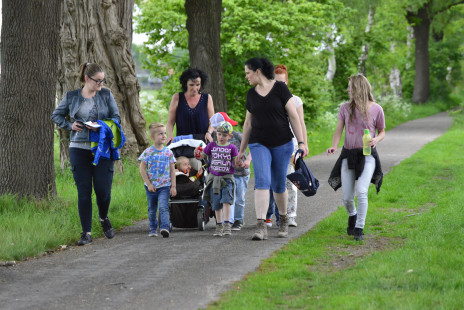 Wandelvierdaagse 2017