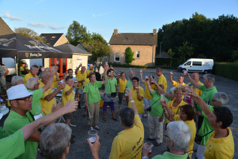 Intocht 4-daagse lopers 2013