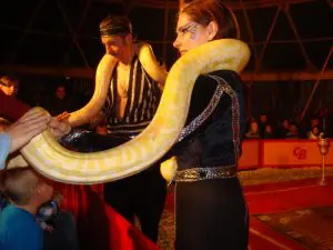 Circus_Bavaria_bij_BillyBird