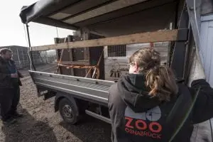 Volkelse beertjes Tommy en Annika gaan naar Duitsland