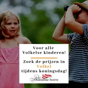 Zoek de prijzen in Volkel tijdens koningsdag!