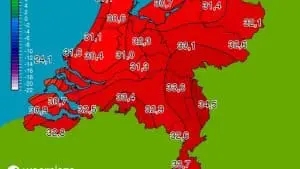 Superhittegolf: het is warmste 10 augustus in Brabant sinds het begin van de metingen