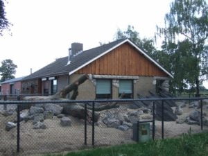 Alpenmarmottenverblijf aug.2014 004